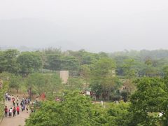 -天适樱花悠乐园