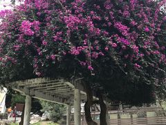 -太鲁阁公园