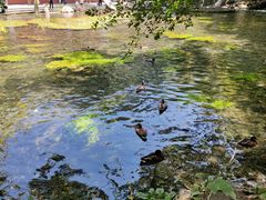 -水磨沟公园