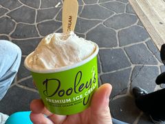 -Dooley's Premium Ice Cream
