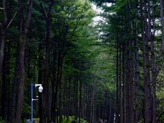 -洛阳白云山景区