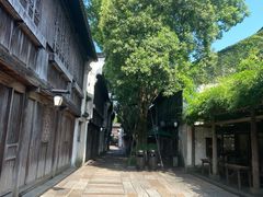 -乌镇景区