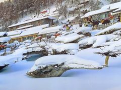 -山河屯铁锅炖(哈西站店)