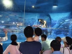 -欢乐海岸海洋奇梦馆