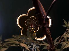 -潮上潮(南中环店)