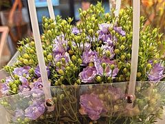 -豆豆花艺(新光天地店)