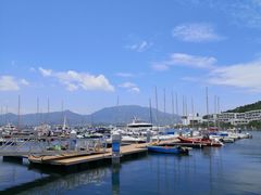 -美人鱼帆船海鲜餐厅(七星湾游艇会店)