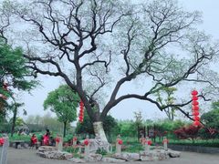 -嬉乐湾休闲旅游区