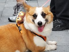 -新光里