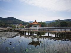 -红山村