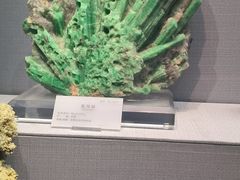 -湖南省地质博物馆