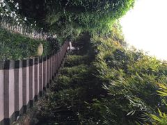iphone_upload_pic-白沙古井