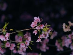 -静安雕塑公园