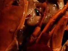 -胖哥俩肉蟹煲(世茂国际广场店)