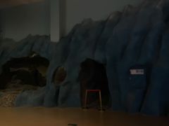 -青藏高原自然博物馆
