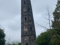 -上海佘山国家森林公园天马山园