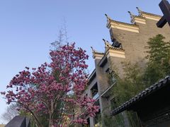 -武汉园博园(武汉自然博物馆)