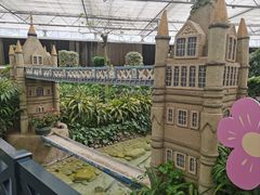 -南宫五洲植物乐园