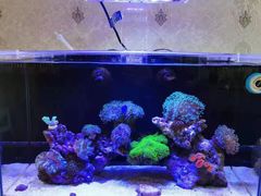 -Rabbit Cafe私房西餐甜点咖啡(栖霞路店)