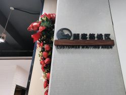 -心联形象设计·流星染