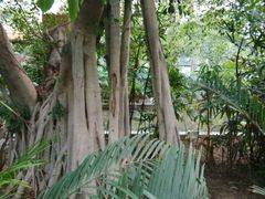 android_upload_pic-龙达温泉生态城