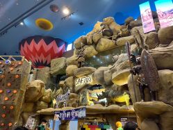 -卡通尼·Safari非洲探索乐园·生日会(金桥国际商业广场店)