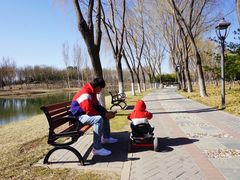 -大兴滨河森林公园