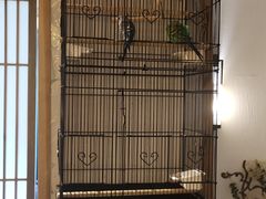 -瓦舍茶馆(聚源路店)