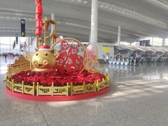 -广州白云国际机场-T2航站楼