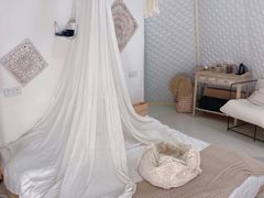 -安德鲁户外烧烤帐篷营地(马泉营店)