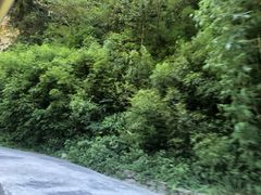 -神龙峡风景区