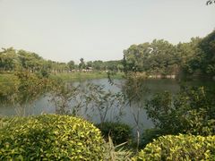 -王借岗森林公园