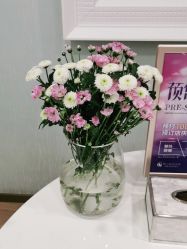点击看大图 -YESIDO椰岛美容