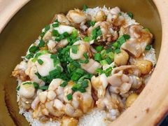 -红星光发煲仔饭(文海店)