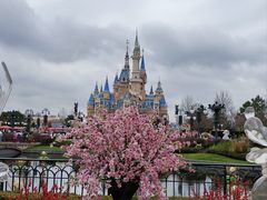 -上海迪士尼度假区