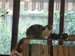 -隅cafe(傅厚岗店)