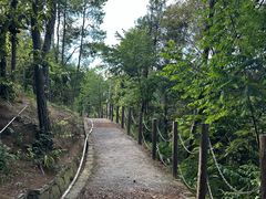 -铁山坪森林公园