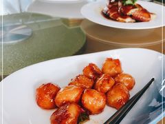 -点都德·毕德寮