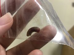 -爱侣宠医·鹦鹉专科·小型哺乳类·异宠专科(灵石路店)