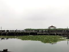 -新木器时代餐厅(太湖新天地店)