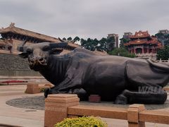 -广东圆玄道观