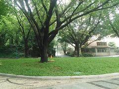 -南国桃园旅游度假区