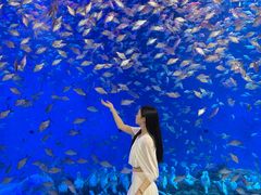 -合肥海洋世界