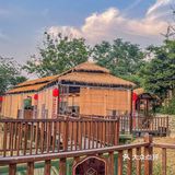 成都柴火鸡天花板 | 首届吃鸡节来了！排队再久也要吃到！