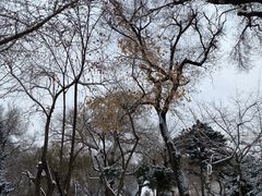 -伪满皇宫博物院