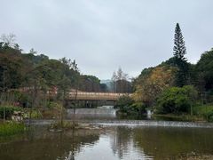 -云溪植物园