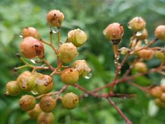 -南京市江宁方山