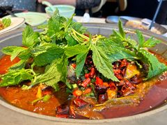 -黔渔翁豆花渎鱼(喷水池店)