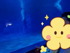 -多彩贵州城极地海洋世界