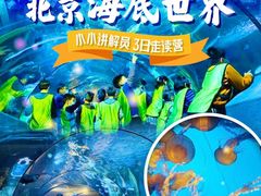 -太平洋海底世界